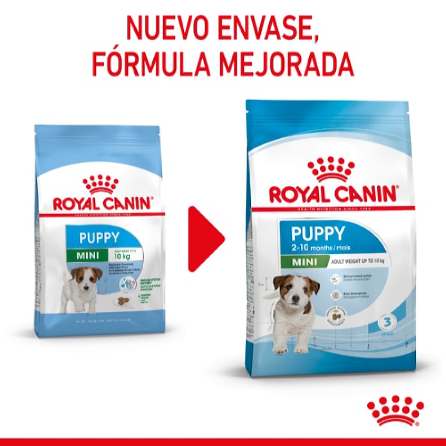 Ração Royal Canin Mini Puppy para cães