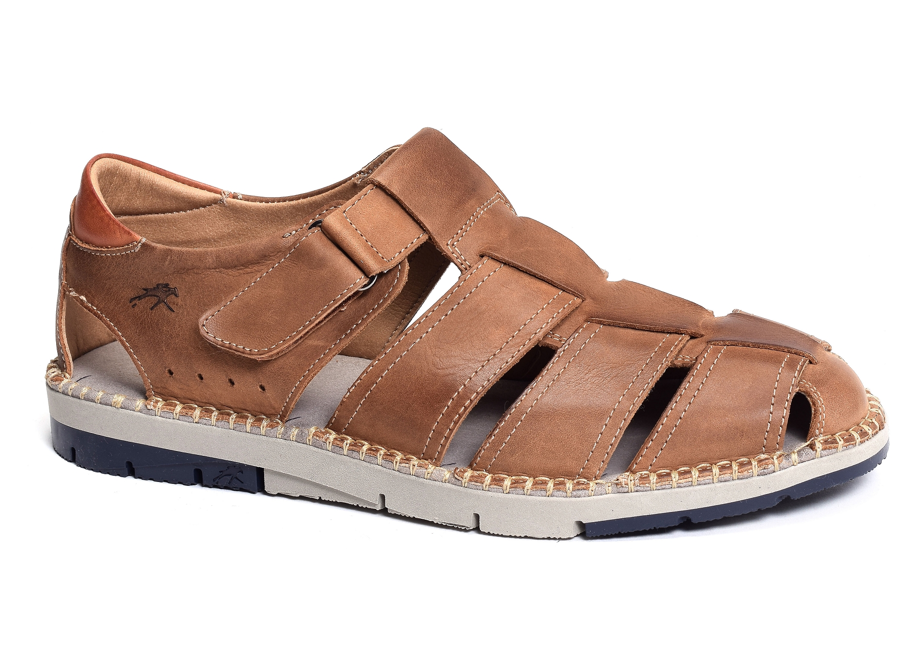 F1167 camel