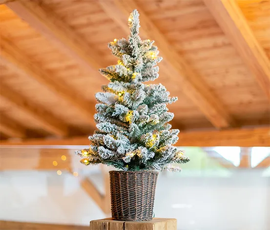 Evergreen LED-Weihnachtsbaum mit geflochtenem Übertopf, ca. 90 cm