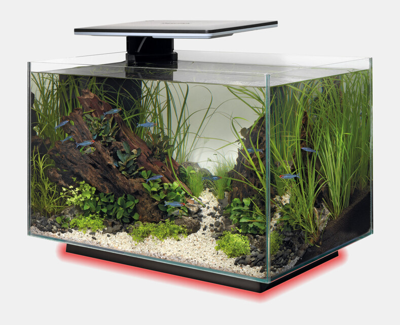 Superfish Aquarium Quadro 40 Multi Colour Zwart