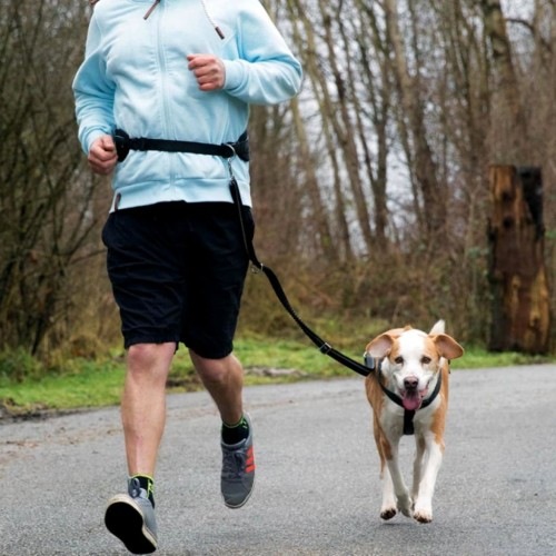 cinto de corrida para cachorro preto