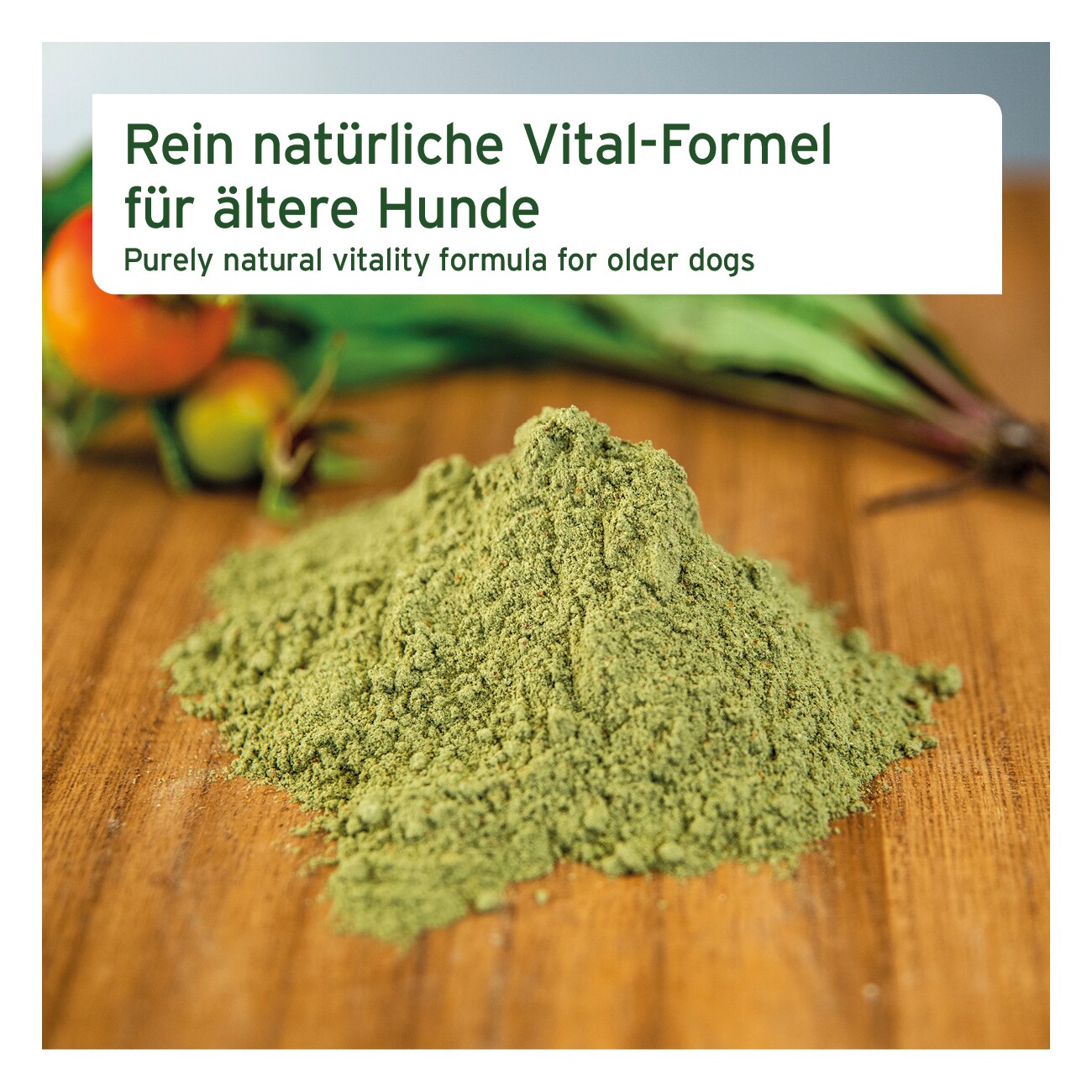 AniForte Senior Active 250g