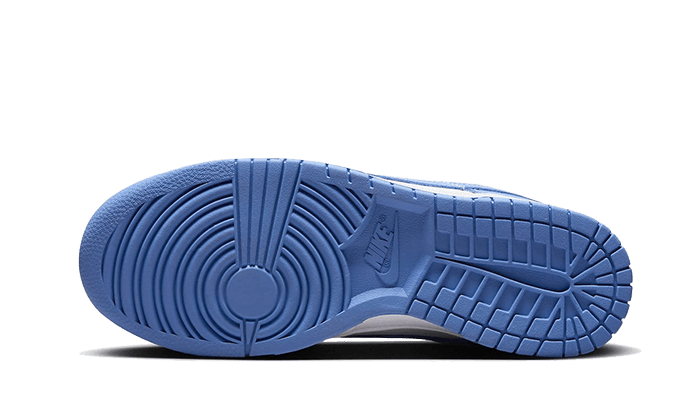 Nike Dunk Low Polar Blue - 48h Delivery