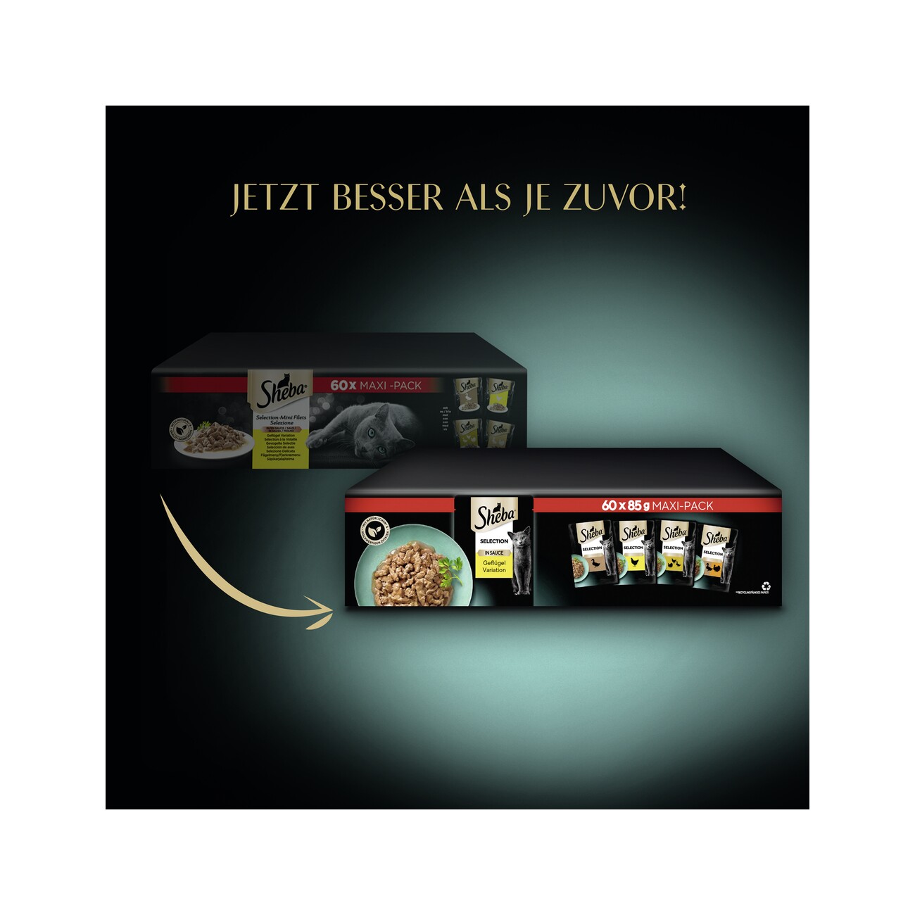 Sheba Selection in Sauce 60x85g