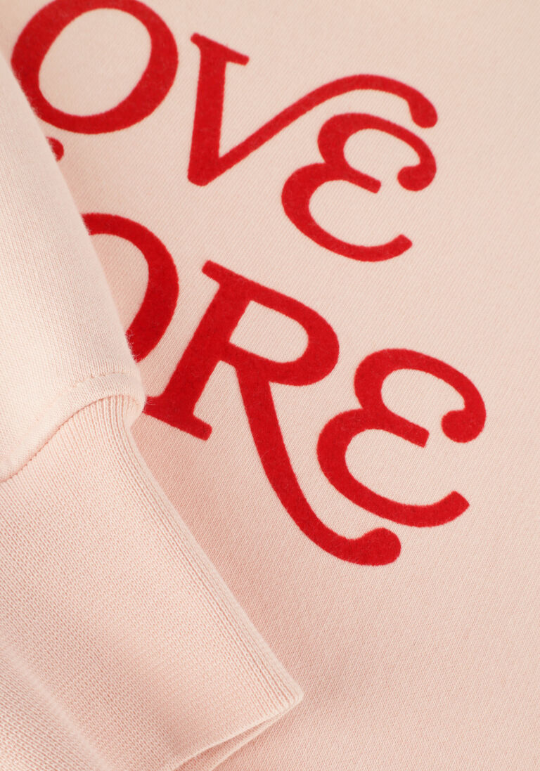 CATWALK JUNKIE roze catwalk junkie trui sw love more