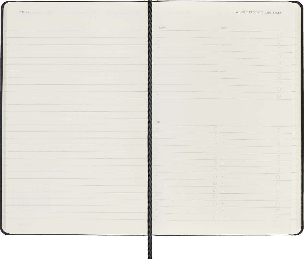PRO Planner 2025 Large Weekly, hard cover, 12 months