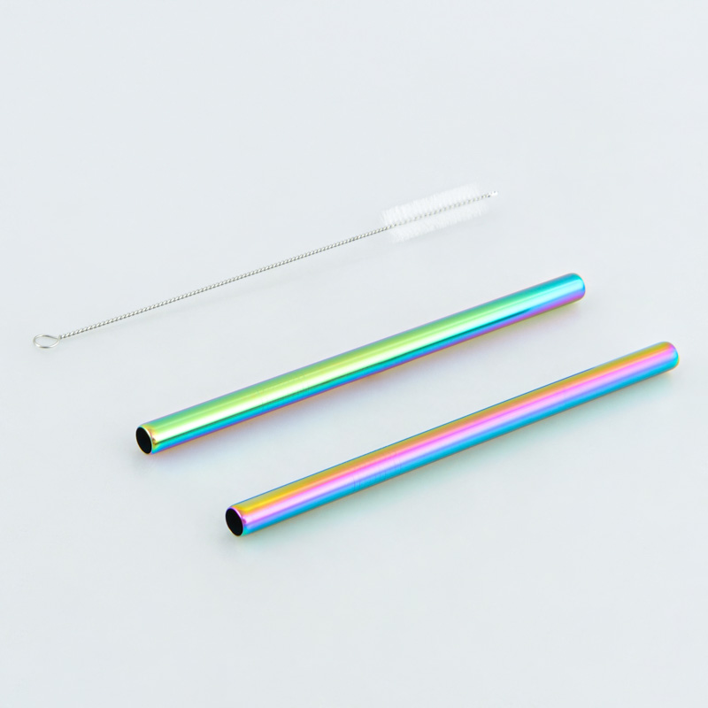 Lot de 2 pailles Bubble Tea avec goupillon