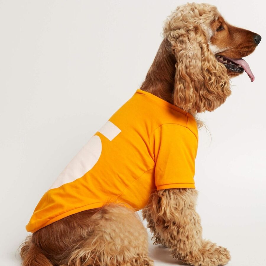 Camiseta Imi