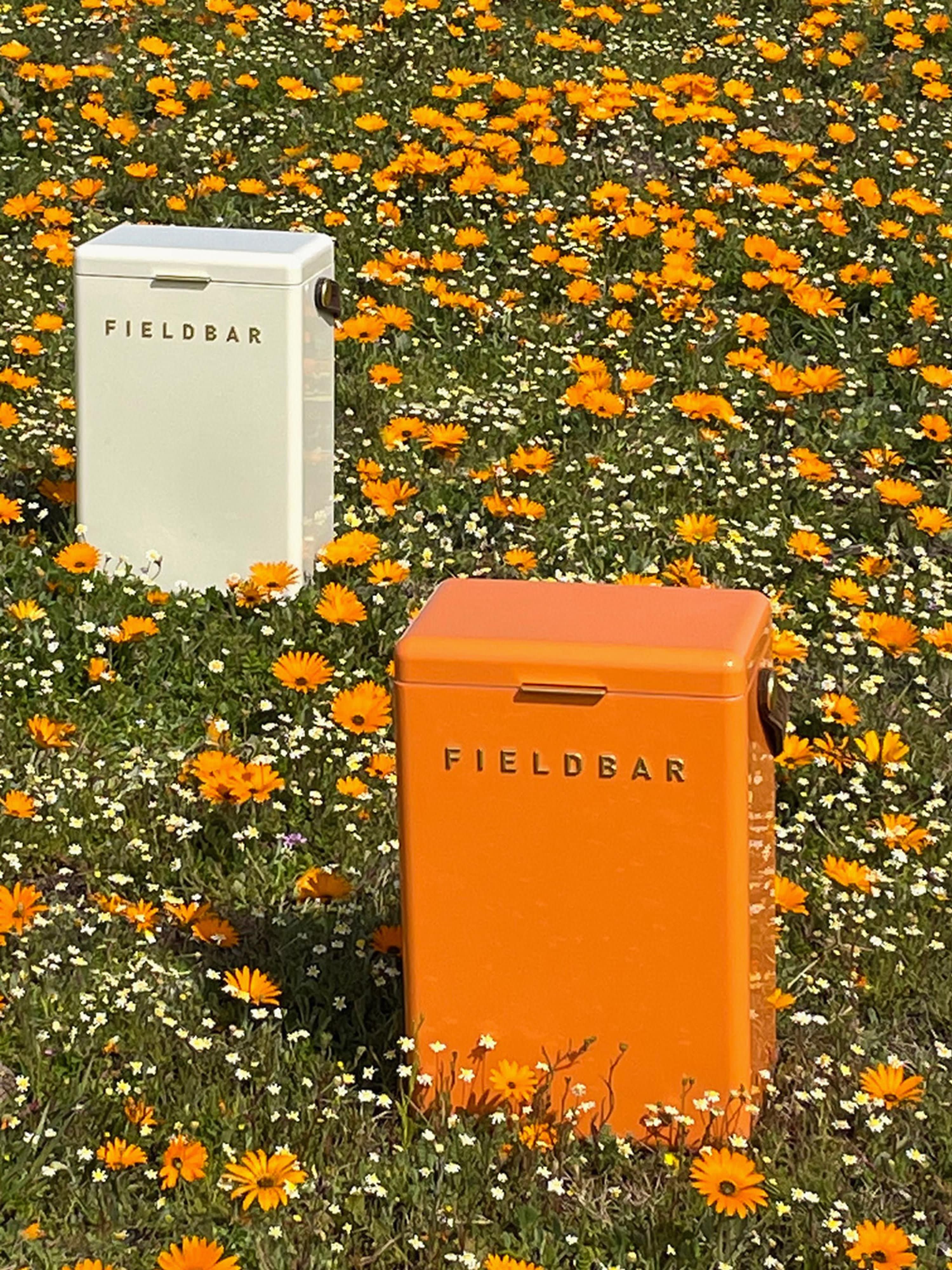 Handgemaakte koelbox Orchard