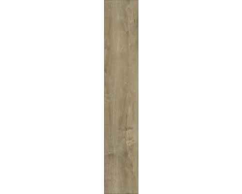 Laminaat 8.0 Exquisite Plus Oriental Oak natuur
