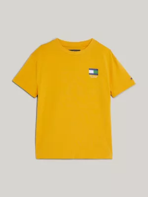 Camiseta com várias bandeiras