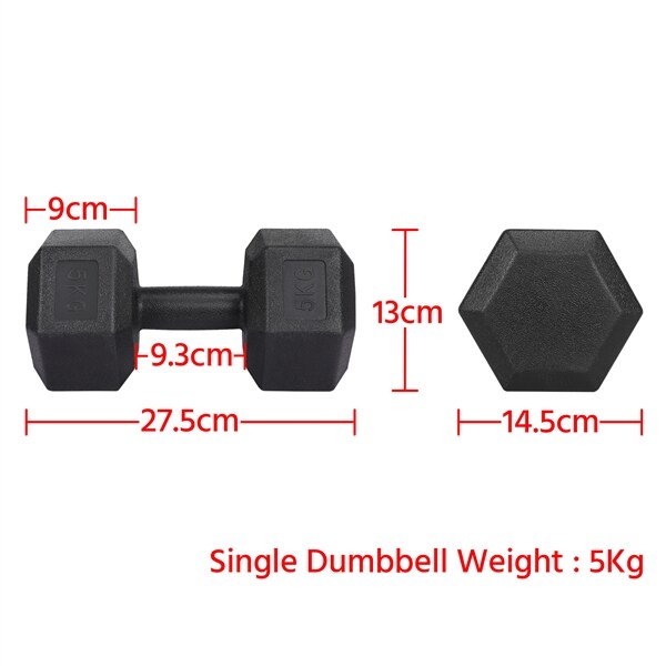 Yaheetech Hanteln 2er Set Kurzhanteln 5 Kg Hantelstangen mit Oberfläche aus Kunststoff für Krafttraining, Gymnastik und Fitness