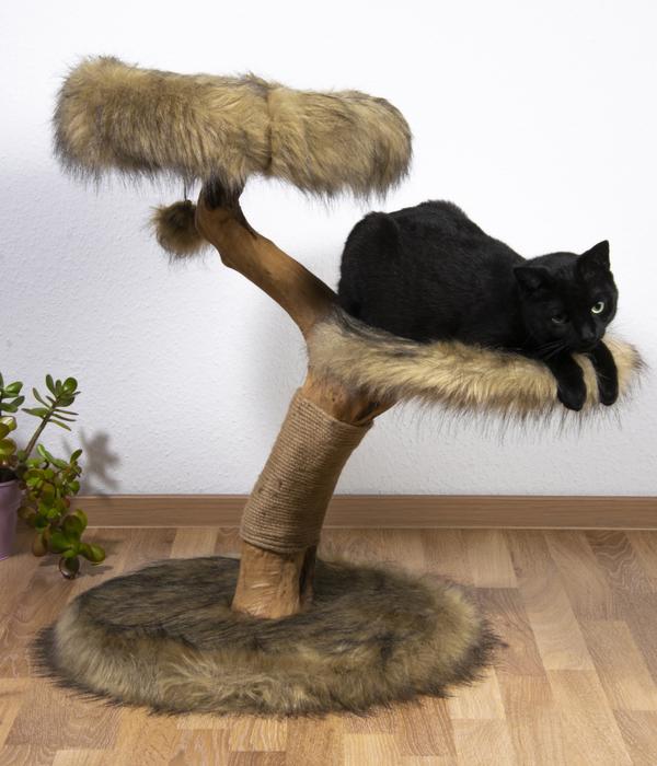 dobar® petlife Design-Kratzbaum Jimmy, braun,