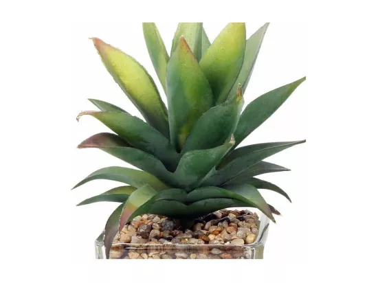 Plantes artificielles dans pot en verre 6.5 x 6.5 x 17 cm (Lot de 3)