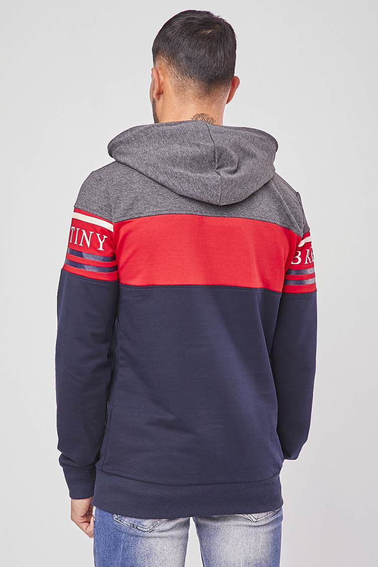 Sweat à capuche gris et bleu BRENTINY PARIS