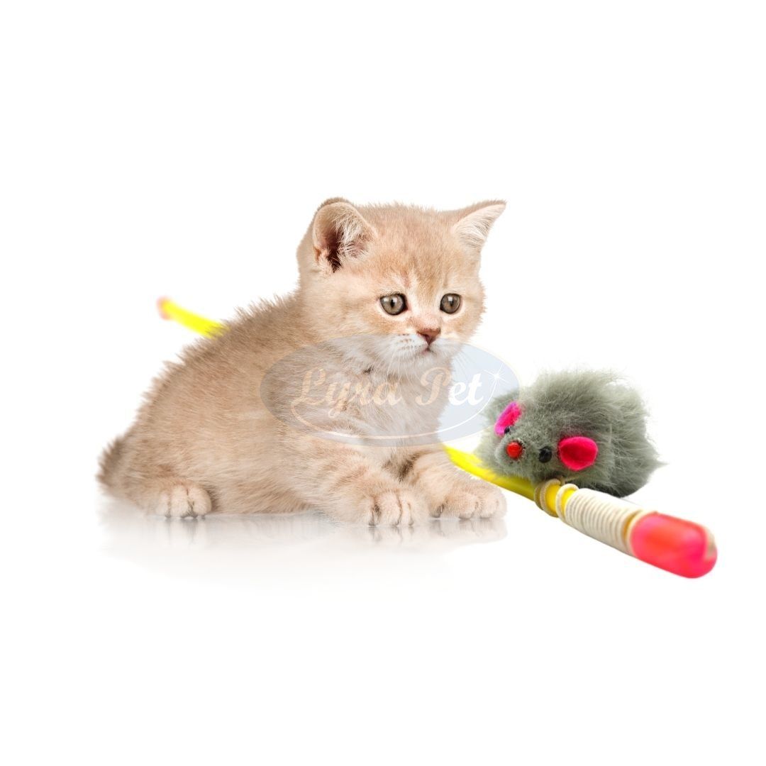 Lyra Pet® Katzenangel mit Maus grau