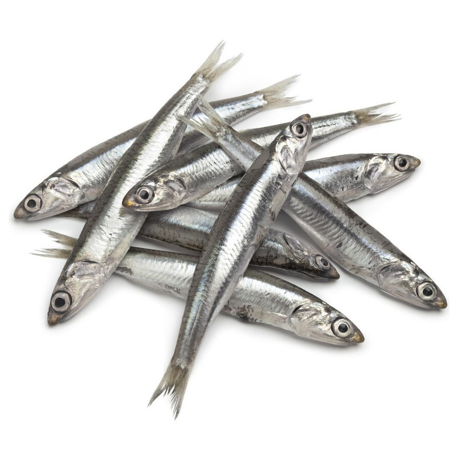 Hobbitalf A Peixaria Anchovas para cães