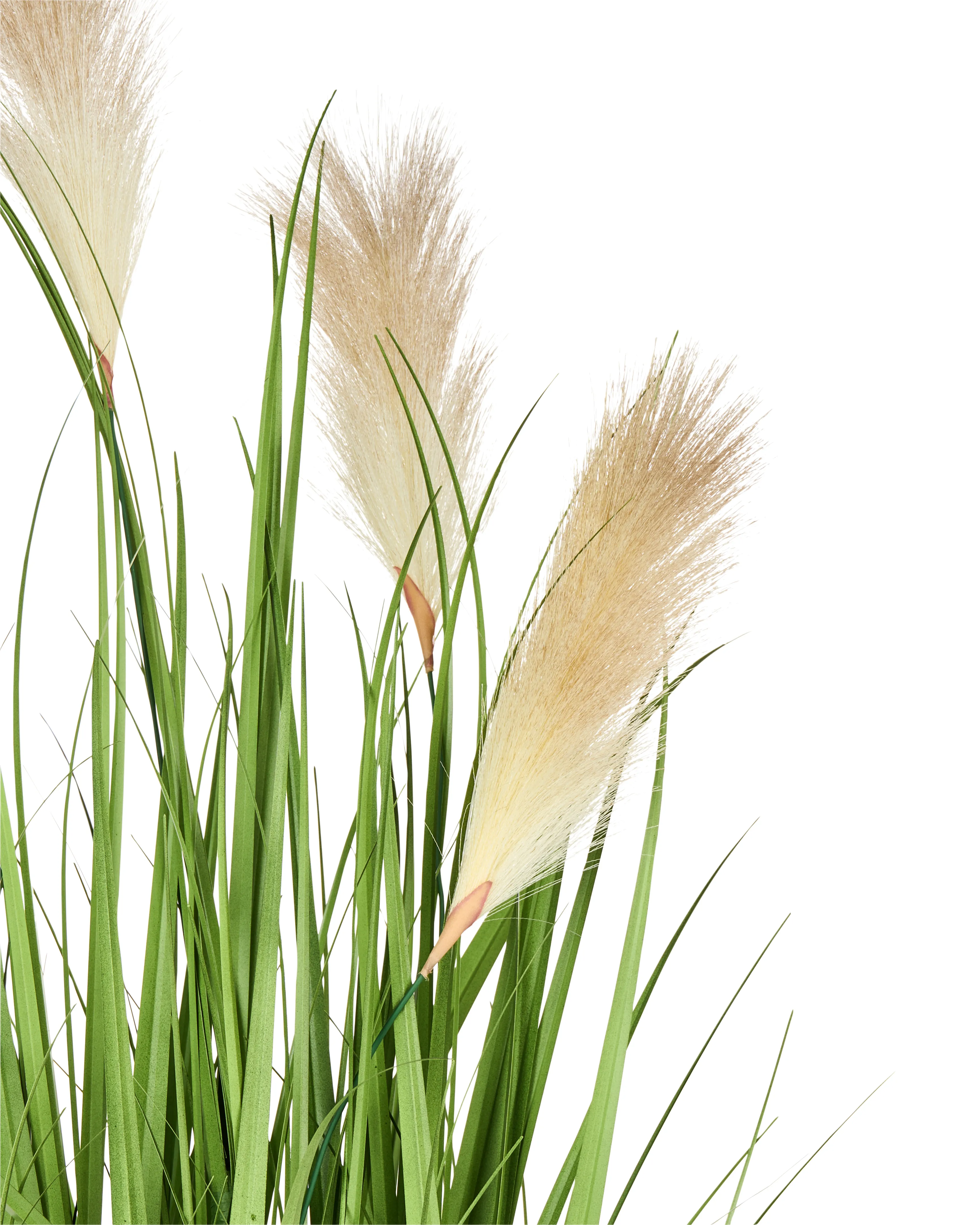 Kunstplant PAMPAS GRASS 130 cm Groen