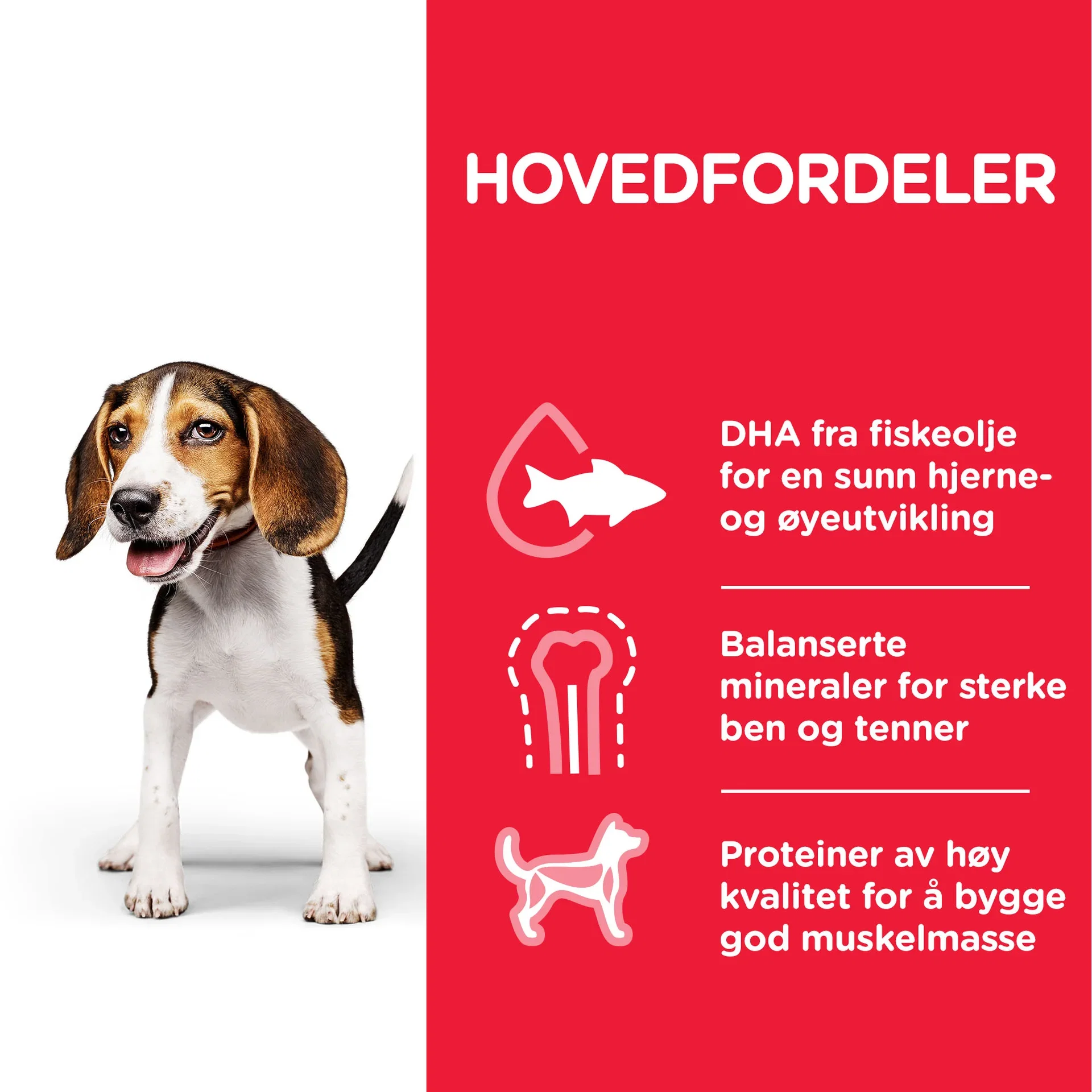 Hills Hill's Medium Puppy 2,5 kg