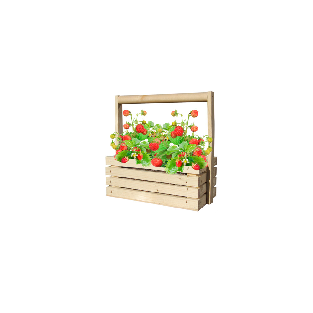 Baza Fresh Farm Bosaardbei Rood
