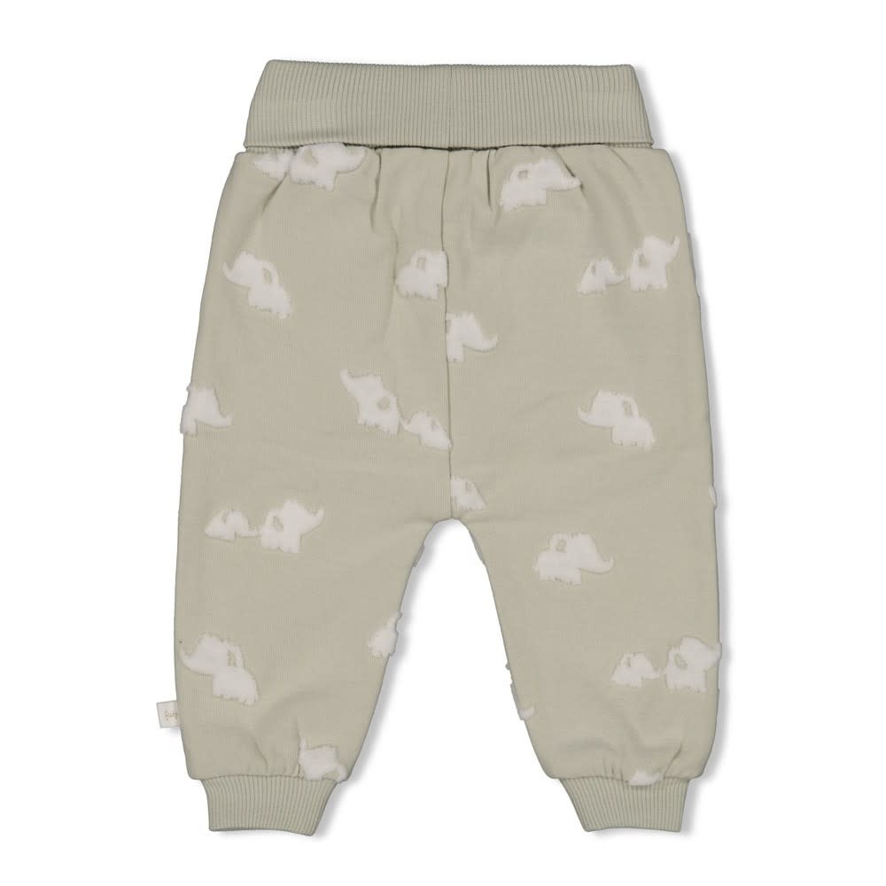 Feetje Feetje broek ao - Elephant mint