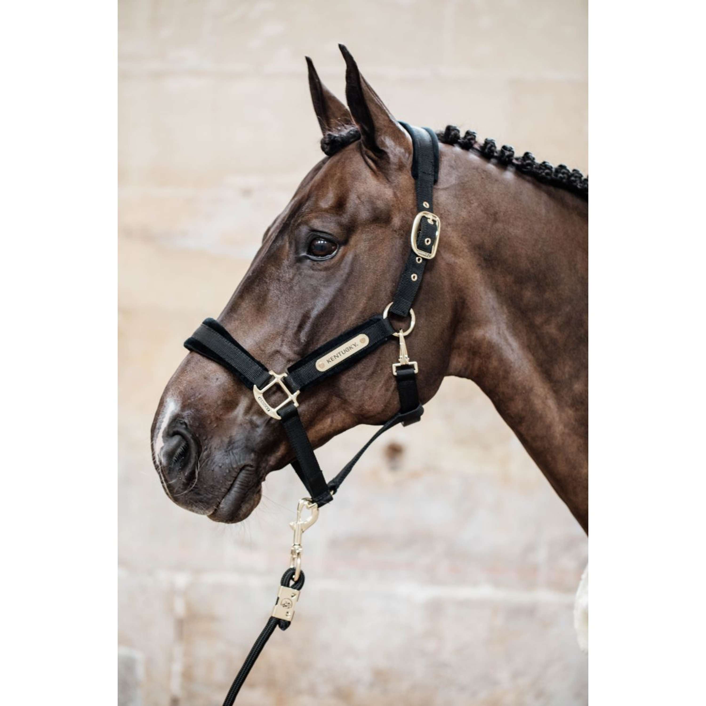 Kentucky Halster Velvet Zwart