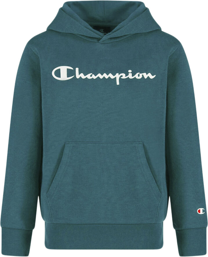 Champion Hooded sweatshirt Grøn