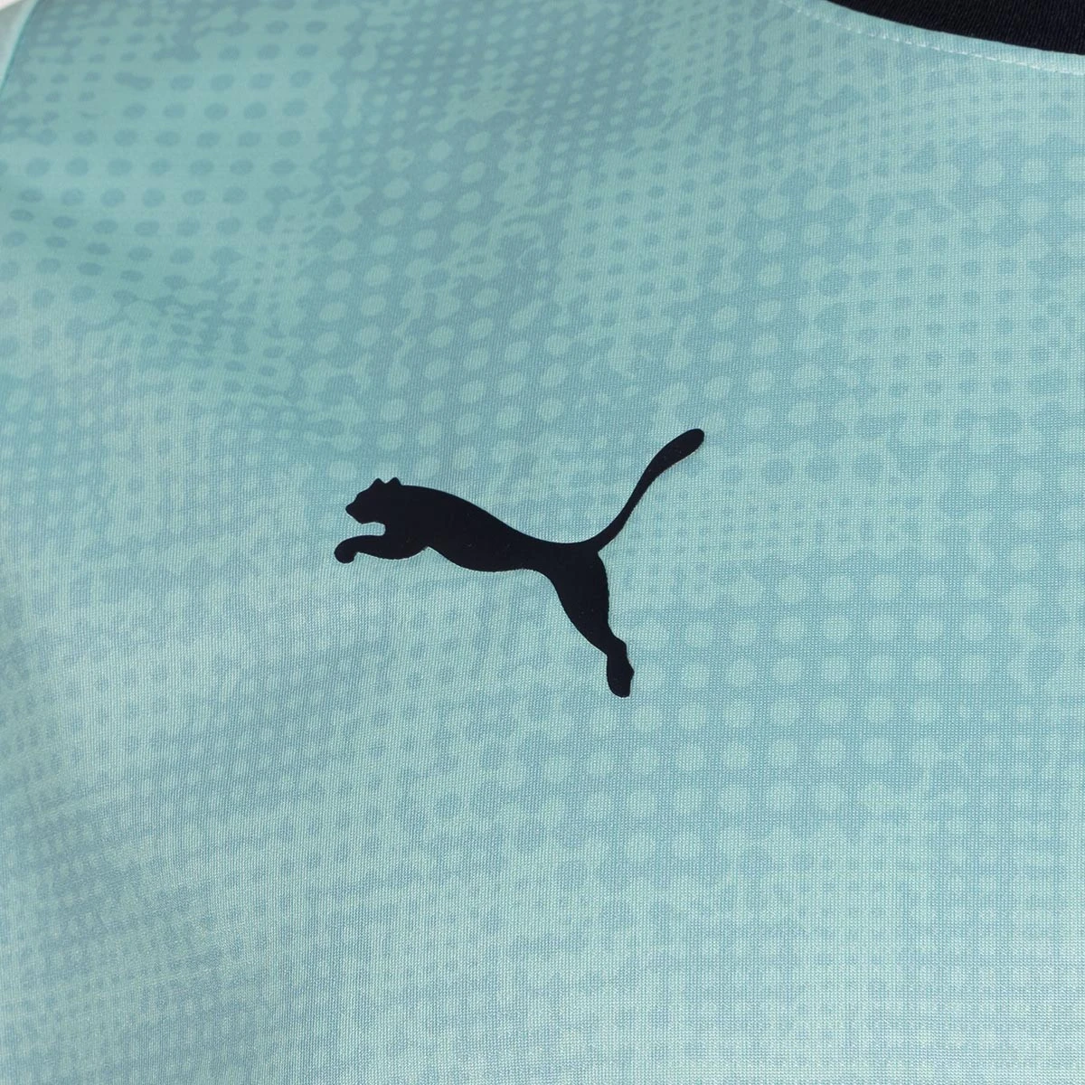 T-Shirt Puma Olympique Marselha Training 2025-2026