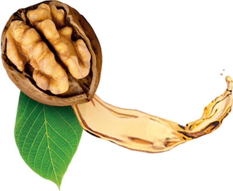 Guhl - Fascinerend Bruin - Shampoo - Bruin - Walnootolie - Hydratatie