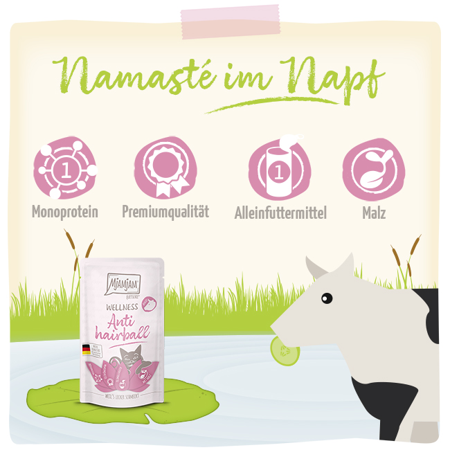 Wellness - Anti Hairball - Rind