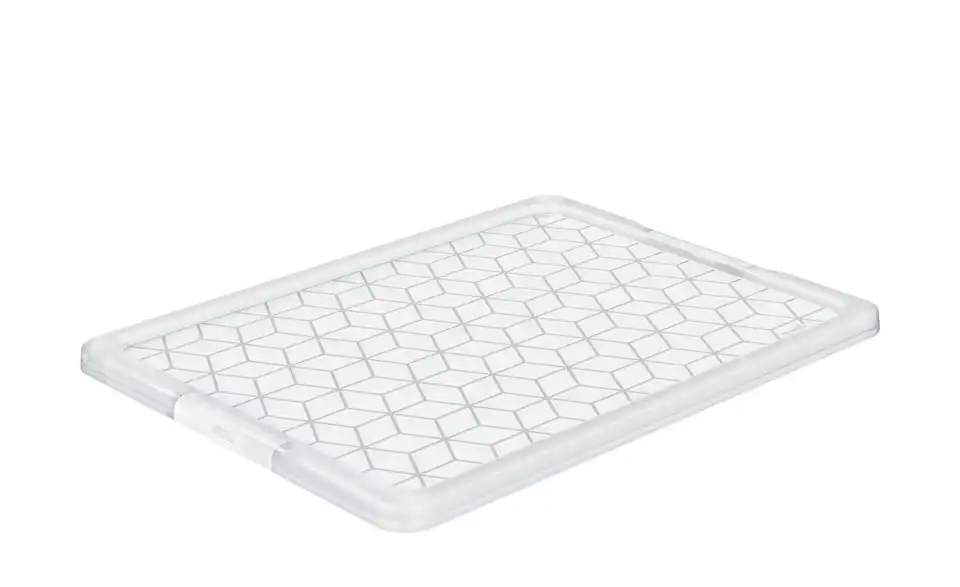 Rotho Deckel für Aufbewahrungsbox 79,1 cm