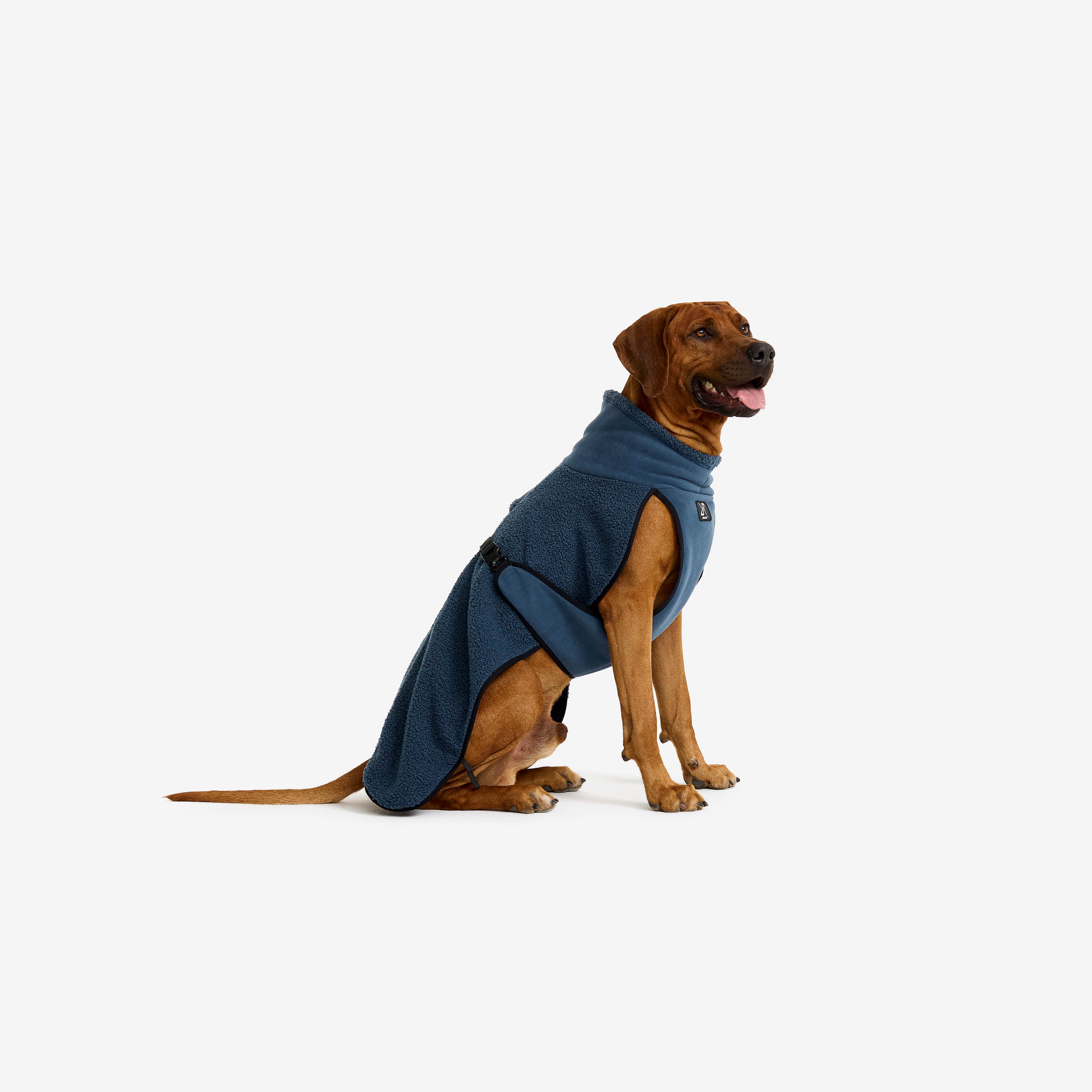Bigfoot Dog Jacket Hund Moonlit Ocean