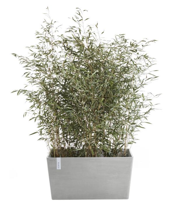 Ecopots Kunststoff-Kasten Paris, rechteckig