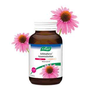 A.Vogel Echinaforce Kauwtabletten sterk**   Vitamine C Tabletten 60ST