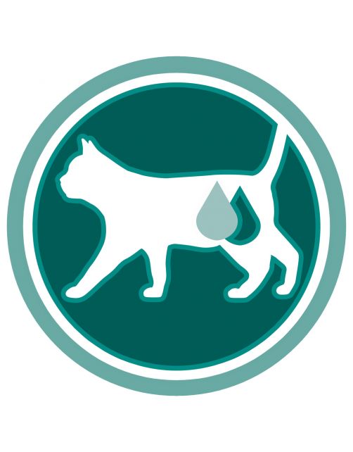 Purina One Adult Kip&Granen - Kattenvoer