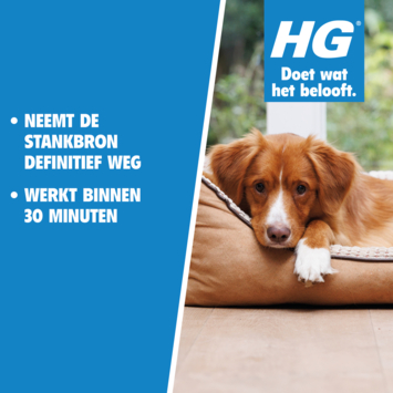 HG alle nare geurtjes weg 500 ml
