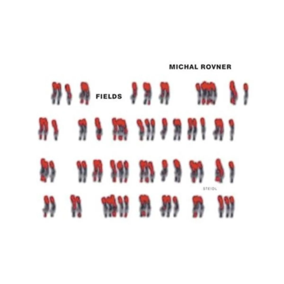 Michal Rovner Fields · Occasion