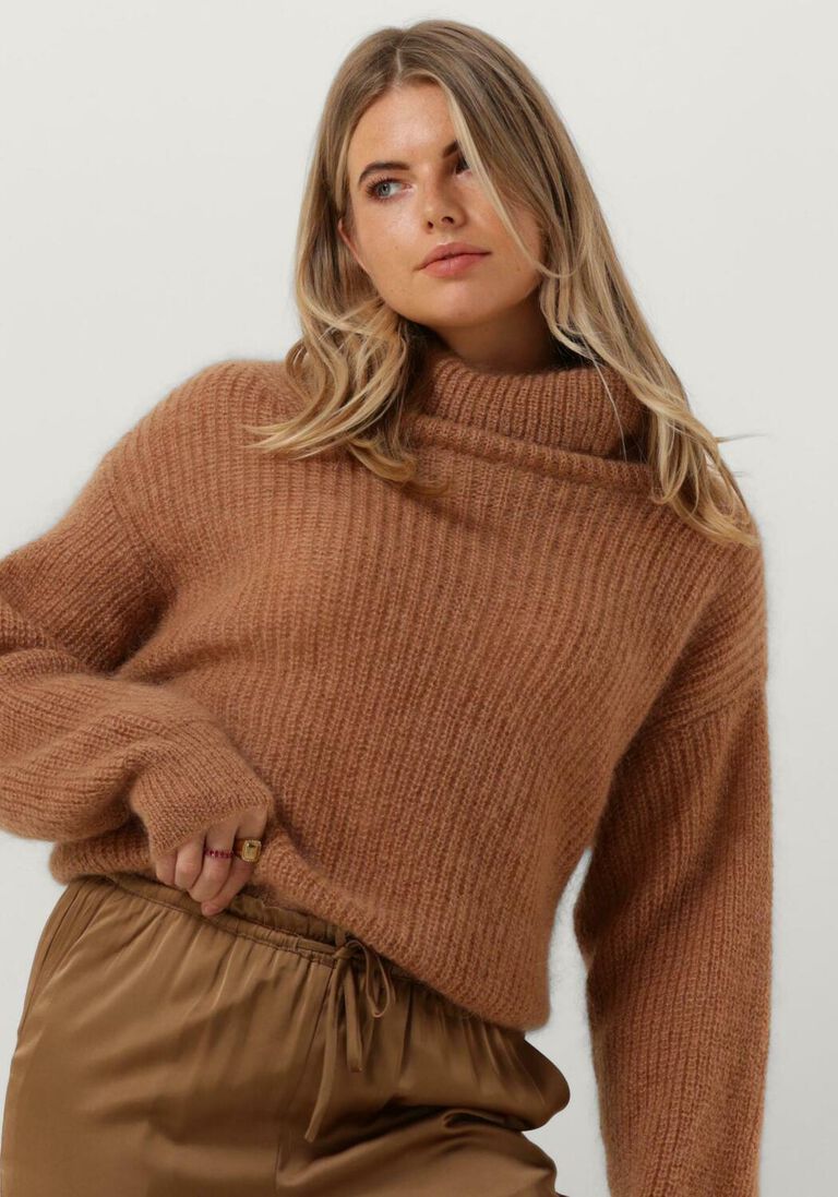 BELLAMY camel bellamy coltrui molly
