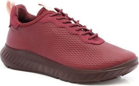 74956 ECCO