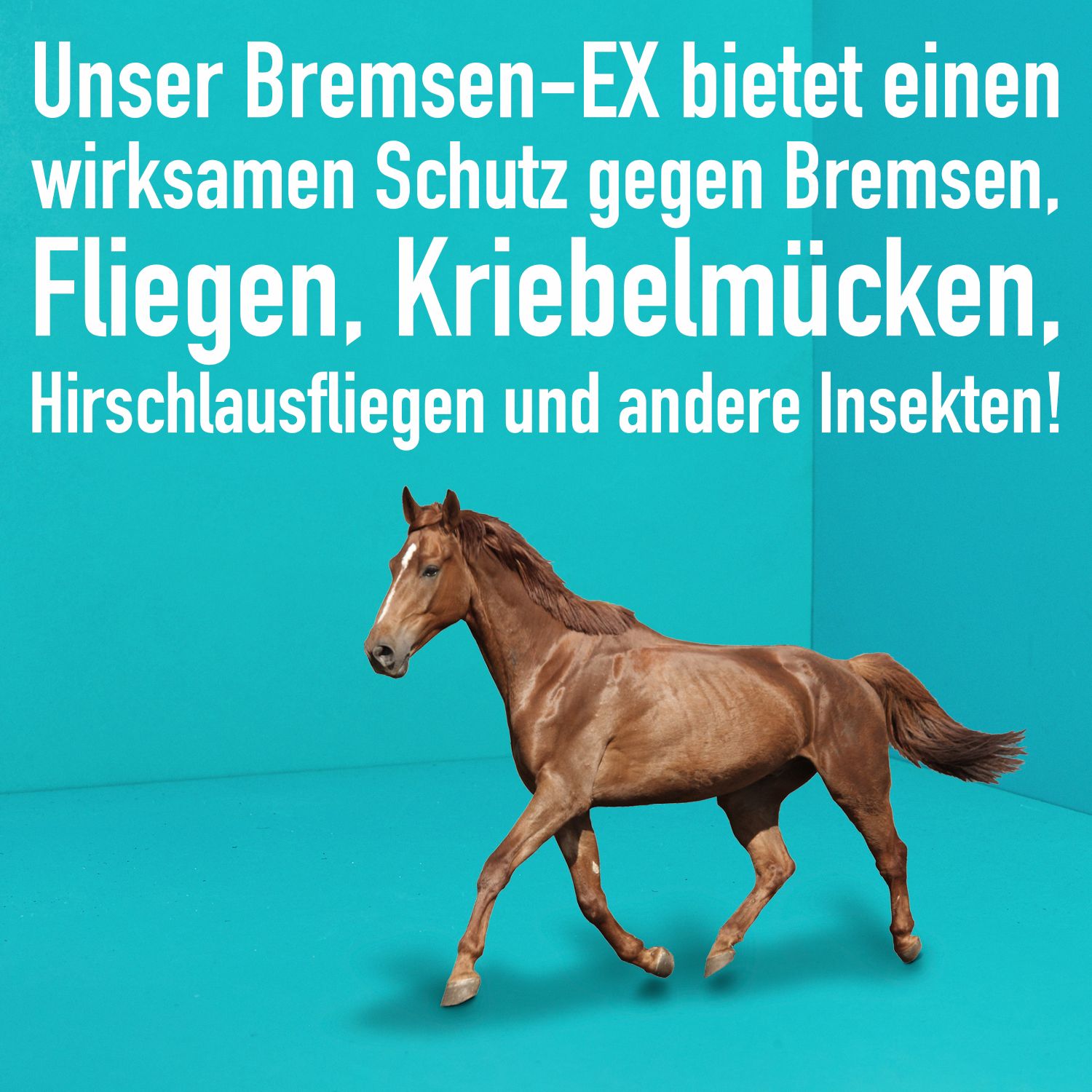 GreenHero Bremsen-EX Fliegenspray für Pferde