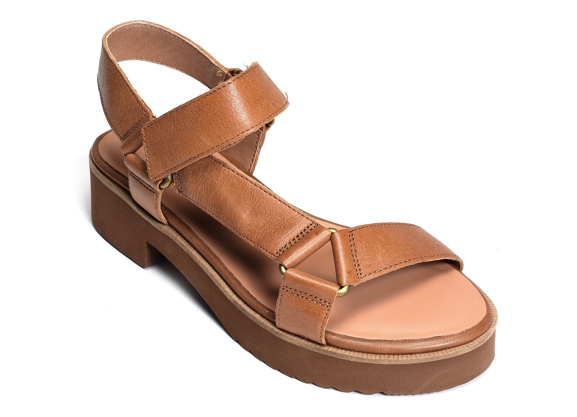 Kristal camel