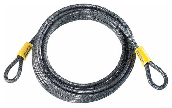 Câble KRYPTONITE KryptoFlex 3010 10M
