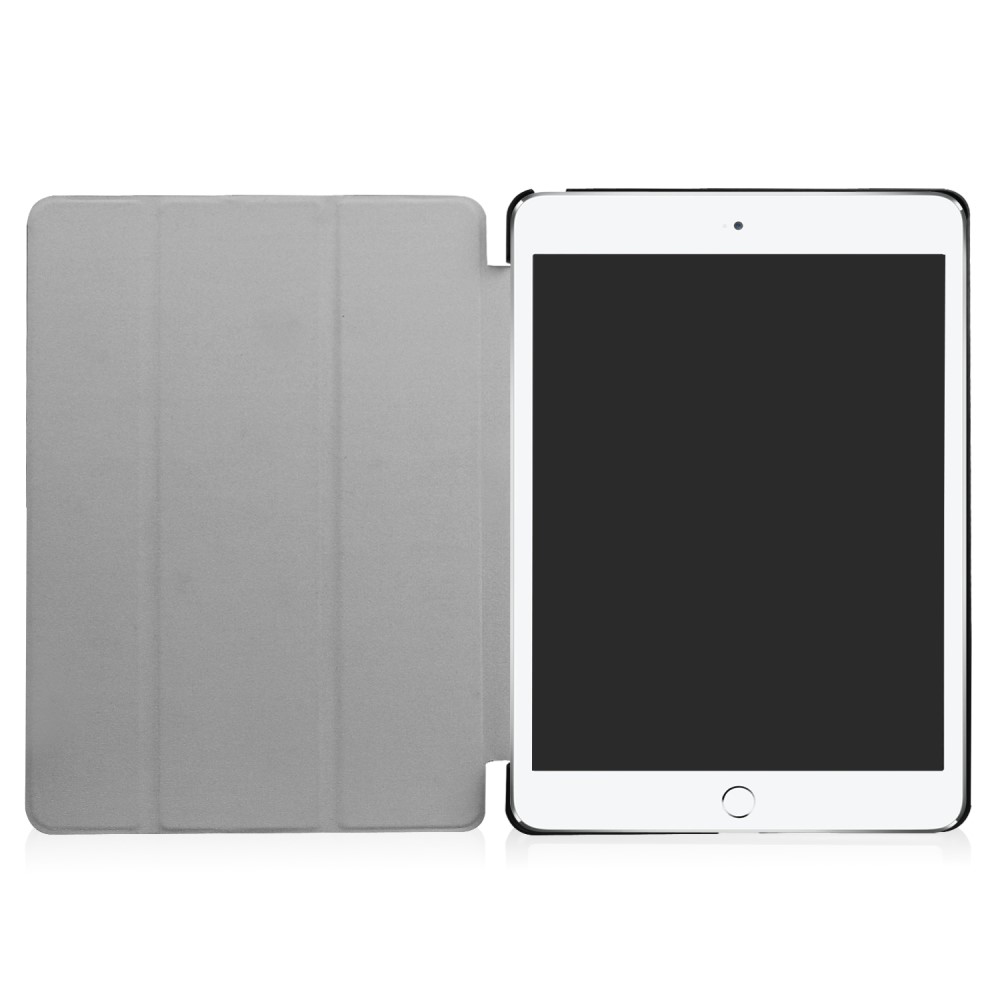 iPad 9.7