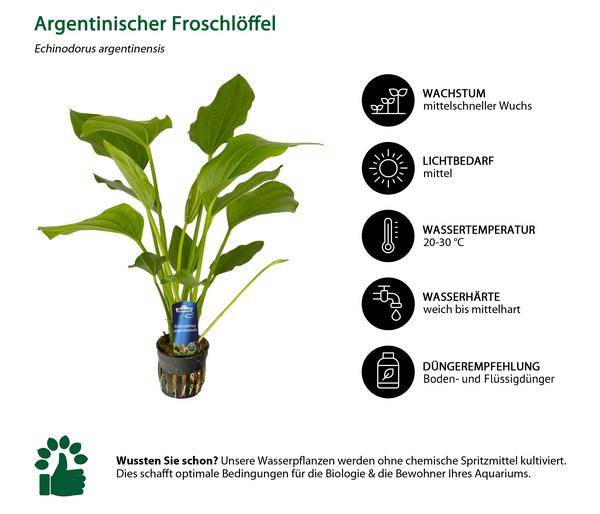 Dehner Aqua Premium Aquarienpflanzen-Set
