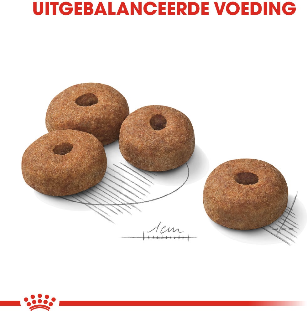 Royal Canin hondenvoer Sterilised Maxi 3 kg