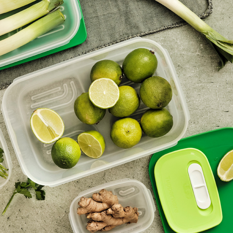 KlimaOasen-Set (5) Grundausstattung zum Frischhalten von Gemüse, Obst und Kräuter