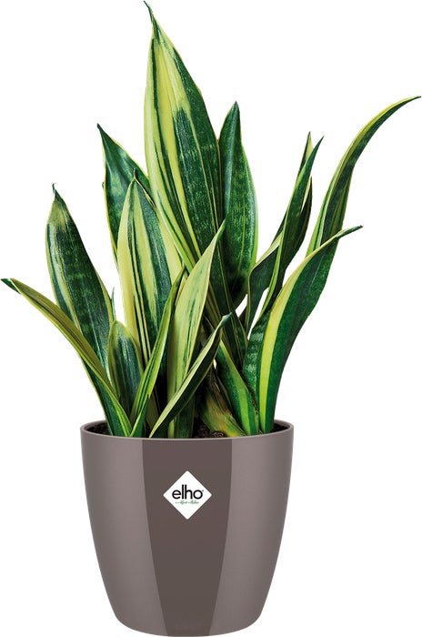 Elho bloempot Brussels diamond taupe D 22,4 H 20,1 cm