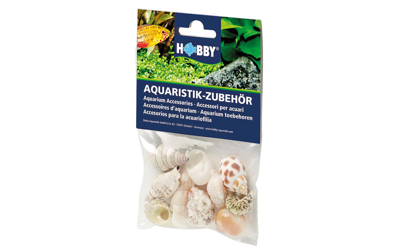 Dekoration Sea Shells Set, M, 10 StückSchneckenhäuser zur natürlichen Dekoration