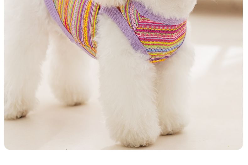 Cissilli - Gestreepte Pet Top