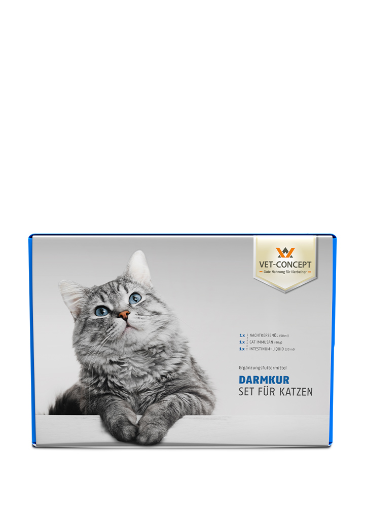 Darmkur für die Katze